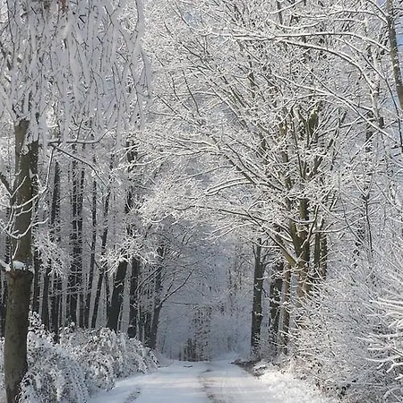 Under Falcon Ridge
