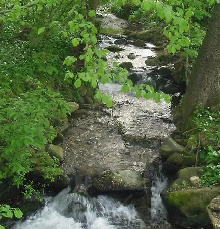 リゾート Under Falcon Ridge Česká Ves